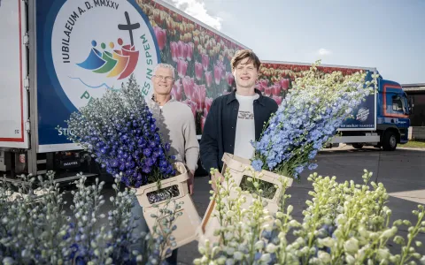 Van der Slot transport 