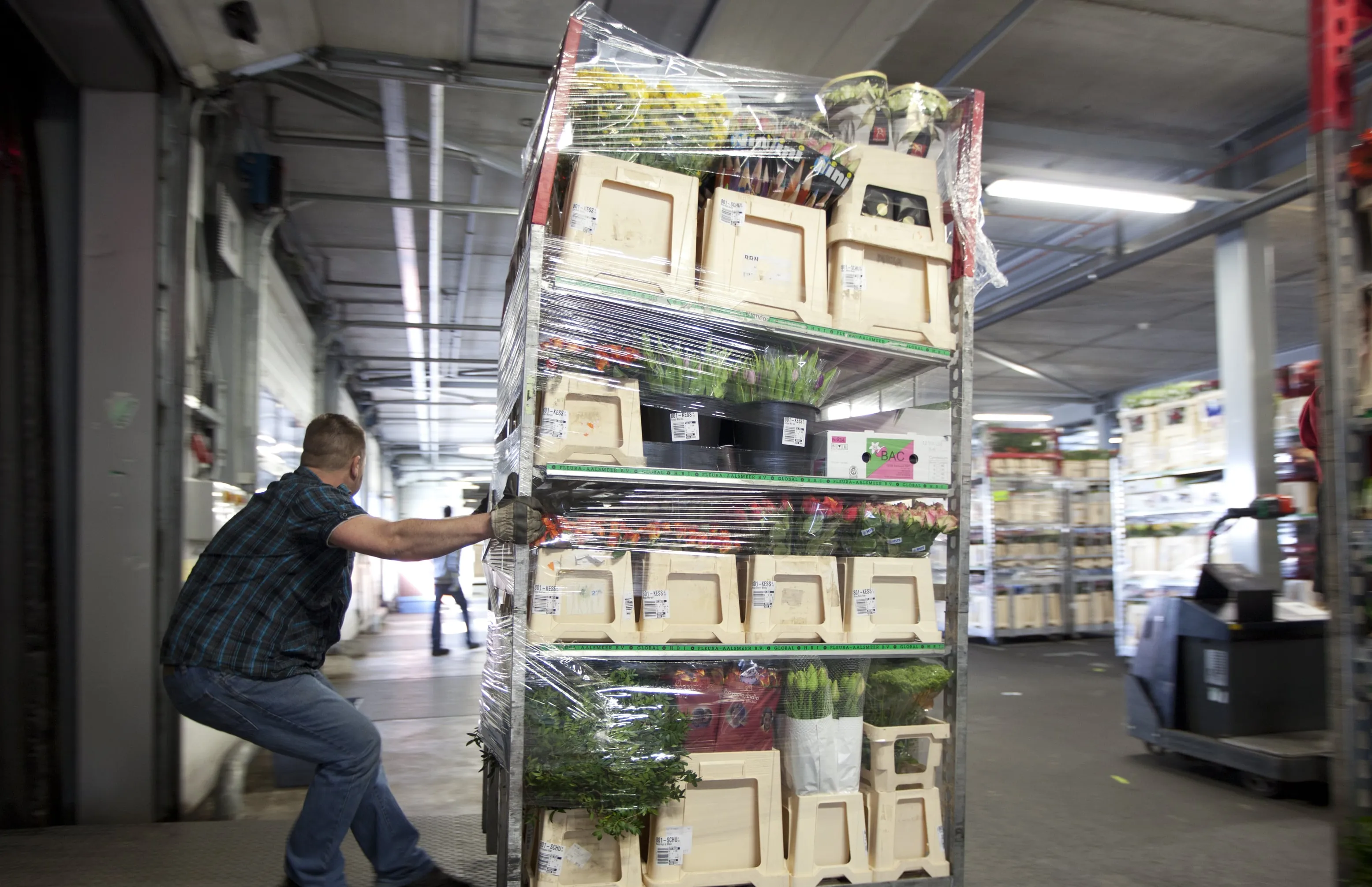 Lading met bakken met snijbloemen